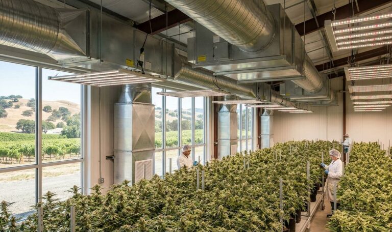 HVAC for cannabis cultivation facilities in Sonoma County